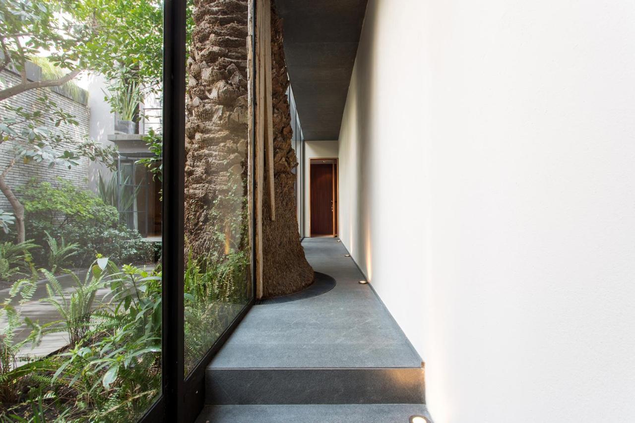 فندق Casa 9 مدينة مكسيكو المظهر الخارجي الصورة